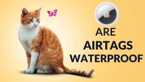 Are AirTags Waterproof